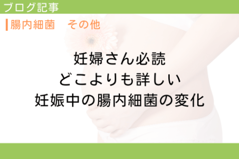 妊婦さん必読【どこよりも詳しい】妊娠中の腸内細菌の変化